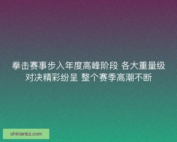 拳击赛事步入年度高峰阶段 各大重量级对决精彩纷呈 整个赛季高潮不断