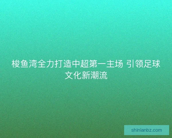 梭鱼湾全力打造中超第一主场 引领足球文化新潮流 梭鱼湾全力打造中超第一主场 引领足球文化新潮流