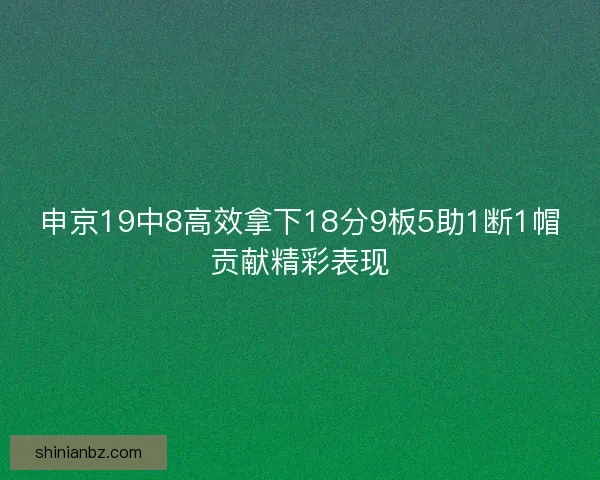 申京19中8高效拿下18分9板5助1断1帽贡献精彩表现