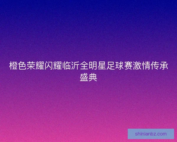 橙色荣耀闪耀临沂全明星足球赛激情传承盛典 橙色荣耀闪耀临沂全明星足球赛激情传承盛典