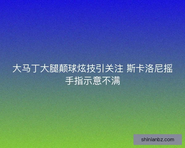 大马丁大腿颠球炫技引关注 斯卡洛尼摇手指示意不满